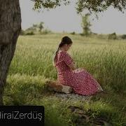 HiraiZerdüş Hikaye