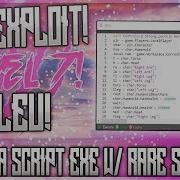OMFG SUPER HACK EXPLOIT BLEU FULL LUA SCRIPT EXE W RARE SCRIPT PACK WORKS