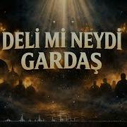 DELİ Mİ NEYDİ GARDAŞ