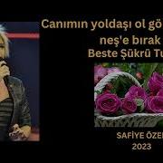 Canımın Yoldaşı Ol Gönlüme Bin Neş E Bırak Ayşe Ekiz