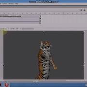 Flash Animation Using Action Script