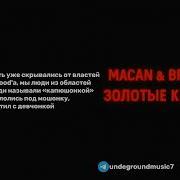 С ТЕКСТОМ MACAN Брутто Золотые купола
