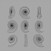 Shell And Noise Draw By OpenFrameworks
