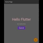 Introduction To Themes In Flutter ThemeData In Flutter Class 22