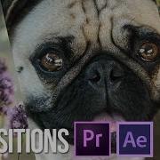 Mask And Luma Matte Transitions With After Effects And Premiere Pro Tutorial