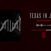 Texas In July Bloodwork