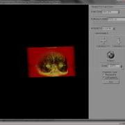 Volume Rendering With 3D Textures