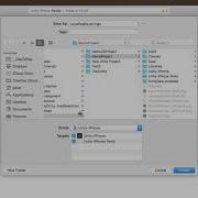 Add Languages To XCode Project Unity
