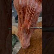 Real Human Foot Muscles