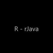 R RJava