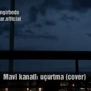 Mavi Kanatlı Uçurtma Cover