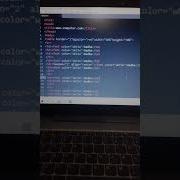 Html Table Border Attribute Tag