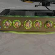 Laura IN 2 Nixie Clock