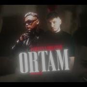 Lvbel C5 X Organize Ortam Vip Mix
