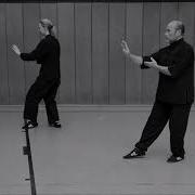 24er Pekingform Gespiegelt Tai Chi 24 Form Mirrored