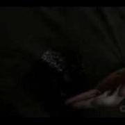 Supernatural Dance With The Devil