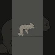 Cat Run Cycle Animation 2danimation Procreate Animation Cat