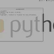 Programando Con Python 1 Python 2 O Python 3