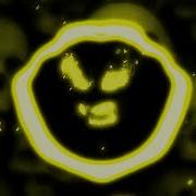 First Memories Slowed