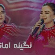 Nigina Amonqulova New Song 2023 Dil نگینه امانقلوا دل