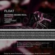 Float Nothing Seems Real Original