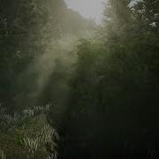 Aura On Off Comparison