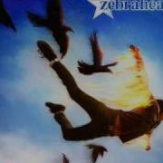 Zebrahead Hell Yeah Lyrics