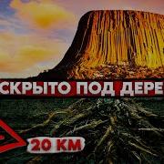ЧТО СКРЫВАЮТ ГИГАНТСКИЕ ДЕРЕВЬЯ ПРОШЛОГО Вот почему ОБ ЭТОМ молчат историки