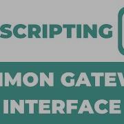 CGI Scripting In Common Gateway Interface CGI Complete Course