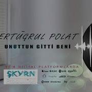 Ertuğrul Polat Unuttun Gitti Beni 2020