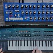 Minifreak Bree6 Cinematic Synth Performance