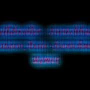 Celldweller Switchback Gustavo Assis Switchmode Remix