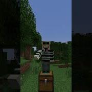 How To Safely Guard Your Minecraft Chest