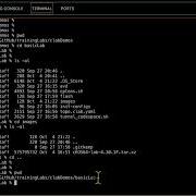 Upload Arista CEOS Image To Codespaces With GitHub CLI