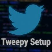Как настроить Tweepy Python