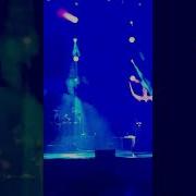 Funda Arar Alagül Live Performance Ankara Canlı Performans