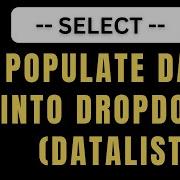 PHP Dropdown Datalist Populate Data From MySQL Database