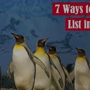 7 Ways To Copy A List In Python Featuring The Pittsburgh Penguins