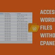 Файловый менеджер доступ ко всем файлам WordPress без CPanel или FTP Shorts