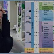 The Impossible Hugeness Of Deep Time REACTION