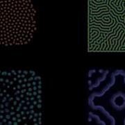 Reaction Diffusion Equation Simulation