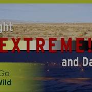 Extreme Light And Dark Go Wild