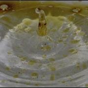Why Is Oil Not Soluble In Water