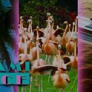 Every Opening Title Intro Seasons 1 5 Miami Vice