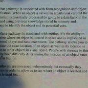 Major Pathways For Visual Processing In The Visual Cortex