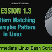 Master Linux Bash Scripting Session 1 3 Pattern Matching Complex Pattern