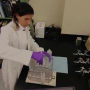 Folsum Plankton Splitter 1080p