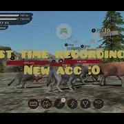 The Wolf Journey From Level 1 To 75