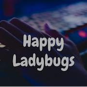 69 Happy Ladybugs Implementation Hackerrank Solution Python