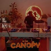 Dafs X In The Canopy Live Studio Session